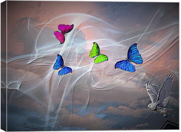 Warm Winds. Canvas Print by Heather Goodwin