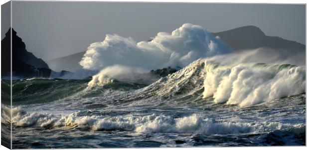 Storm Canvas Print by barbara walsh