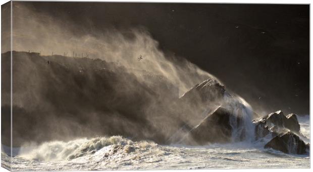 Storm at Clogher Canvas Print by barbara walsh