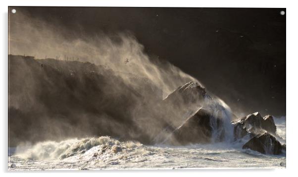 Storm at Clogher Acrylic by barbara walsh