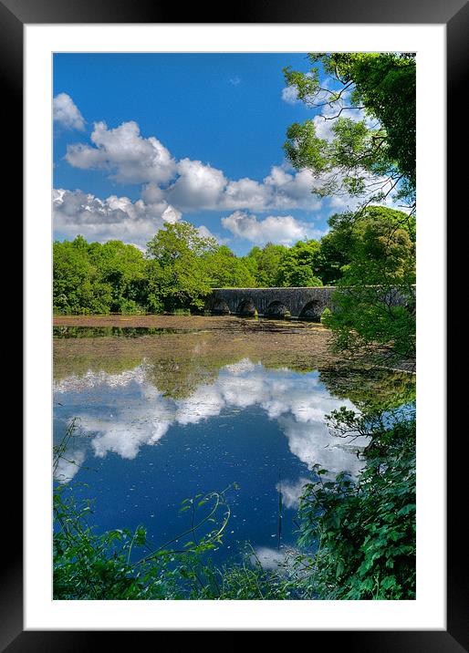 Eight Arch Bridge Framed Mounted Print by Mark Robson