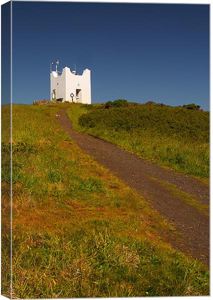 All along the watchtower Canvas Print by David (Dai) Meacham