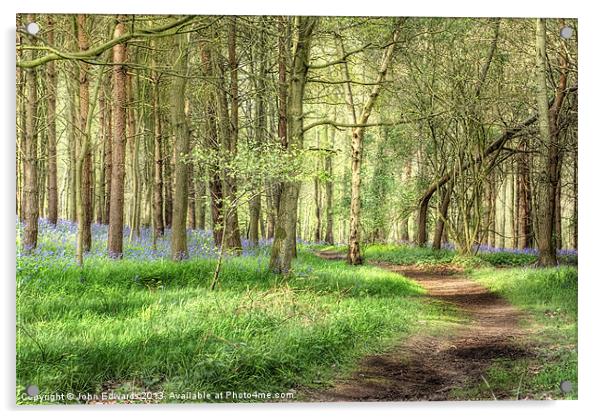 Bluebells at Monks Park Wood, Warwickshire Acrylic by John Edwards