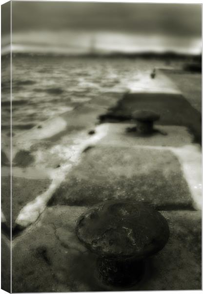 Slipway Into The Firth Of Forth Canvas Print by Reg Atkinson