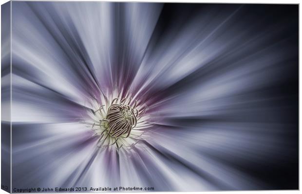 Blue Satin - Clematis 'Nelly Moser' Canvas Print by John Edwards