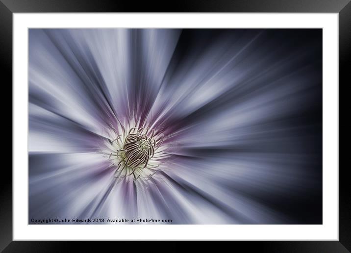 Blue Satin - Clematis 'Nelly Moser' Framed Mounted Print by John Edwards