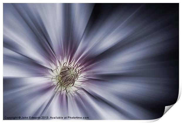 Blue Satin - Clematis 'Nelly Moser' Print by John Edwards