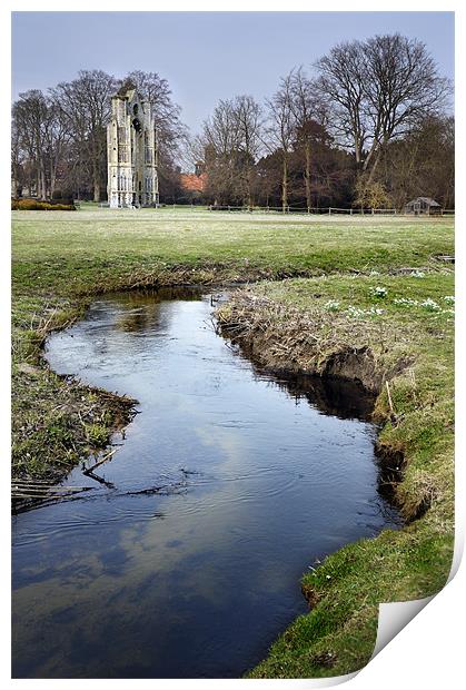 Walsingham Abbey and stream Print by Stephen Mole