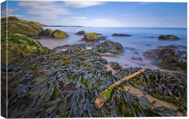 Along The Shore Canvas Print by Mark Robson