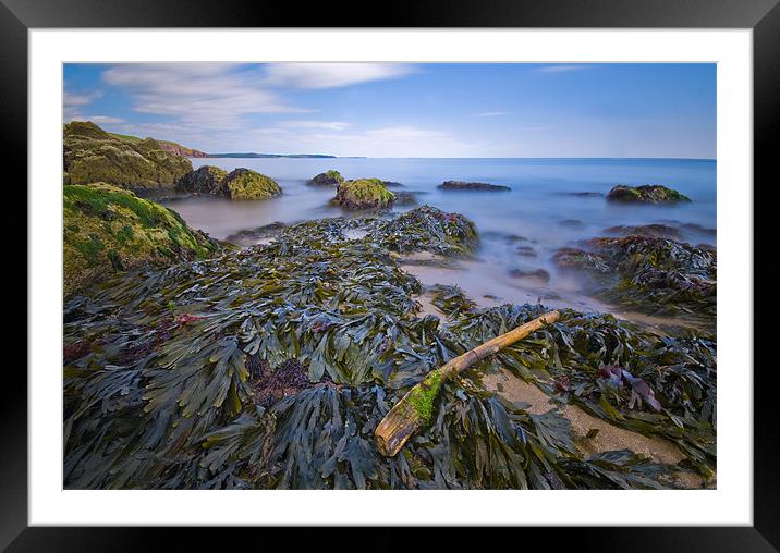Along The Shore Framed Mounted Print by Mark Robson