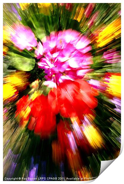 FLOWER POWER Print by Ray Bacon LRPS CPAGB