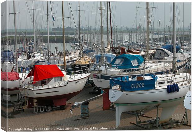 MARINA AT BURNHAM-ON-CROUCH ESSEX. Canvas Print by Ray Bacon LRPS CPAGB