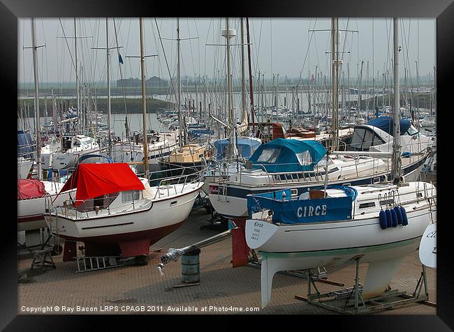 MARINA AT BURNHAM-ON-CROUCH ESSEX. Framed Print by Ray Bacon LRPS CPAGB