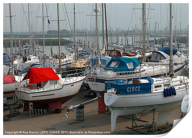 MARINA AT BURNHAM-ON-CROUCH ESSEX. Print by Ray Bacon LRPS CPAGB