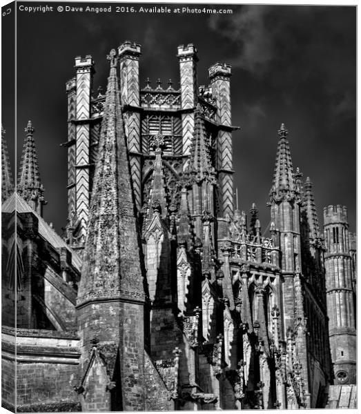 Ely Cathedral Canvas Print by Dave Angood