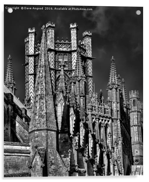 Ely Cathedral Acrylic by Dave Angood