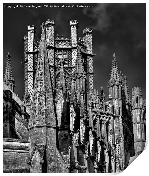 Ely Cathedral Print by Dave Angood