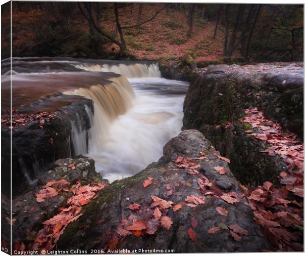 Autumn at Horseshoe falls Canvas Print by Leighton Collins