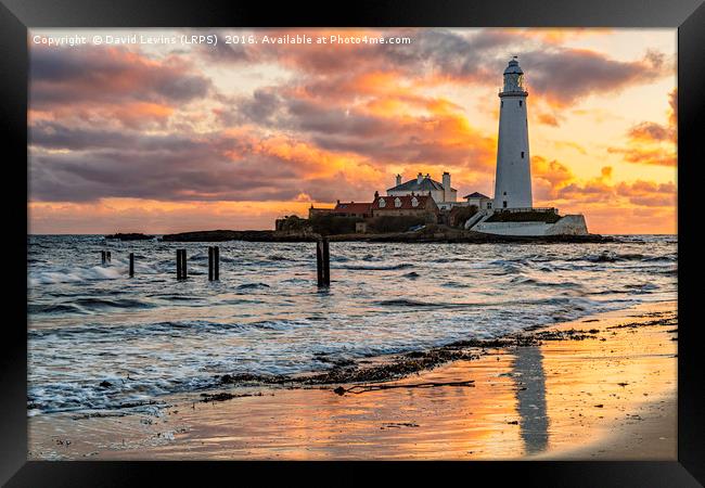St Mary's Lighthouse Framed Print by David Lewins (LRPS)