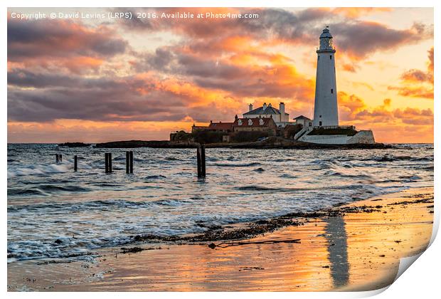 St Mary's Lighthouse Print by David Lewins (LRPS)