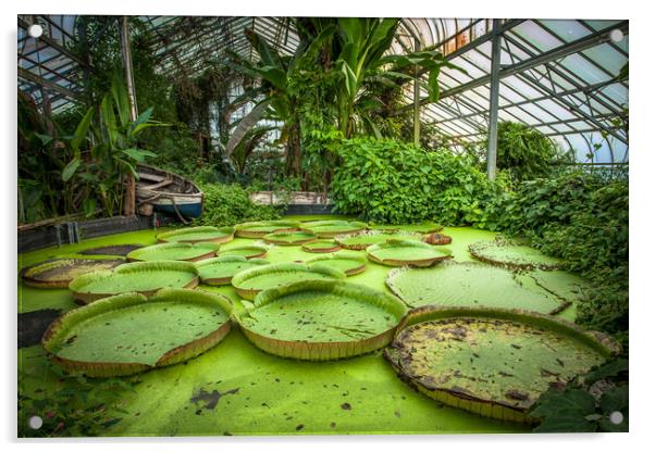 Giant Waterlily Pads Acrylic by Wight Landscapes