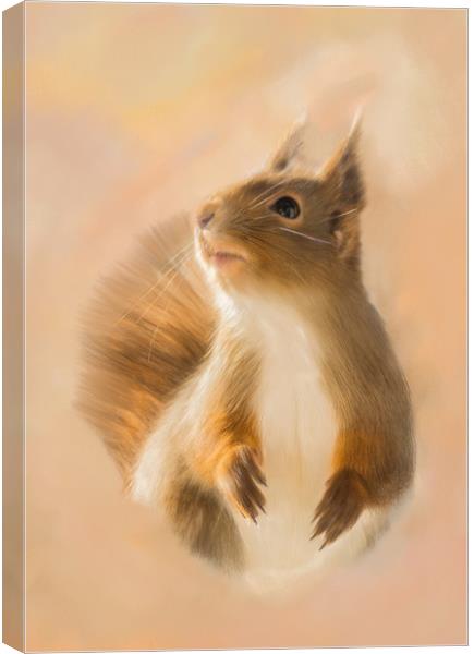 Squirrel, oil and chalk painted squirrel Print Canvas Print by Tanya Hall