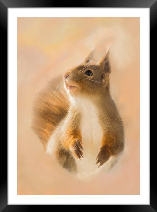 Squirrel, oil and chalk painted squirrel Print Framed Mounted Print by Tanya Hall