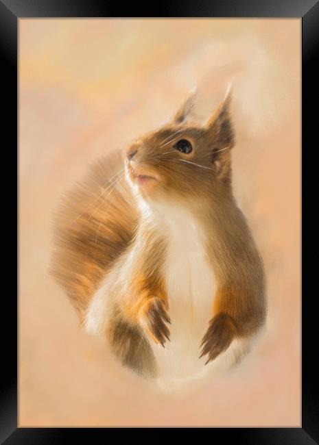 Squirrel, oil and chalk painted squirrel Print Framed Print by Tanya Hall