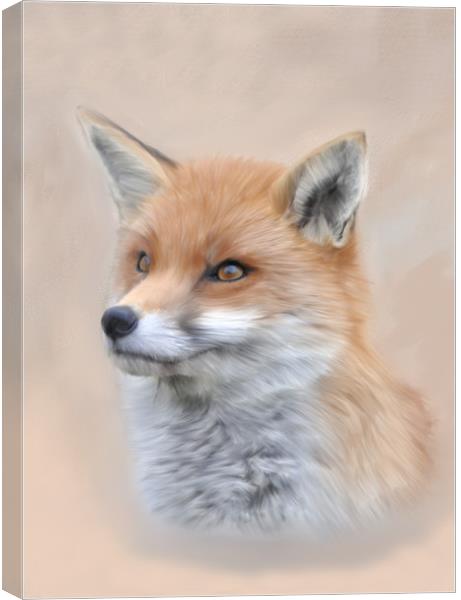 Fox, Siona The Wild Fox Canvas Print by Tanya Hall