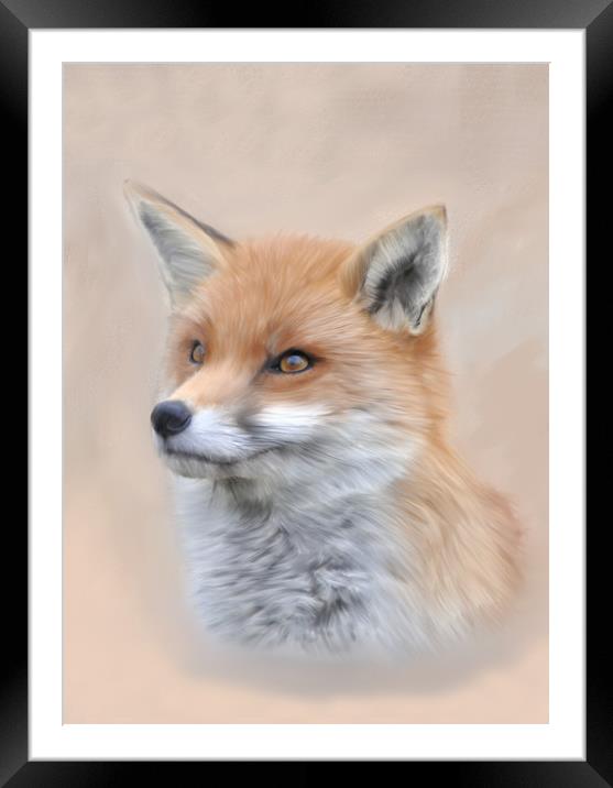 Fox, Siona The Wild Fox Framed Mounted Print by Tanya Hall