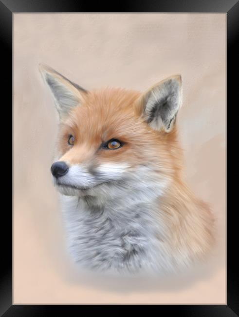 Fox, Siona The Wild Fox Framed Print by Tanya Hall