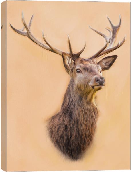 Stag, Cernunnos The Stag Canvas Print by Tanya Hall