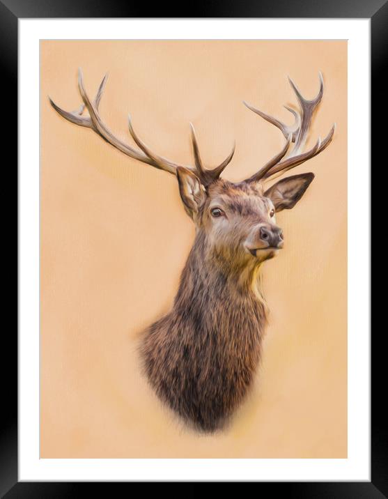 Stag, Cernunnos The Stag Framed Mounted Print by Tanya Hall