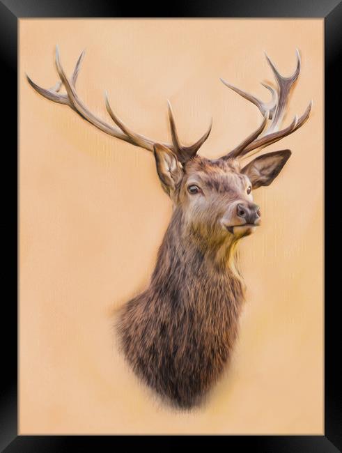 Stag, Cernunnos The Stag Framed Print by Tanya Hall