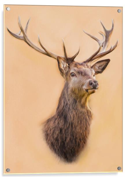 Stag, Cernunnos The Stag Acrylic by Tanya Hall