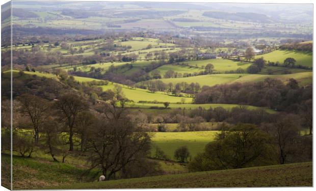 Shropshire Vale Canvas Print by Colin Tracy