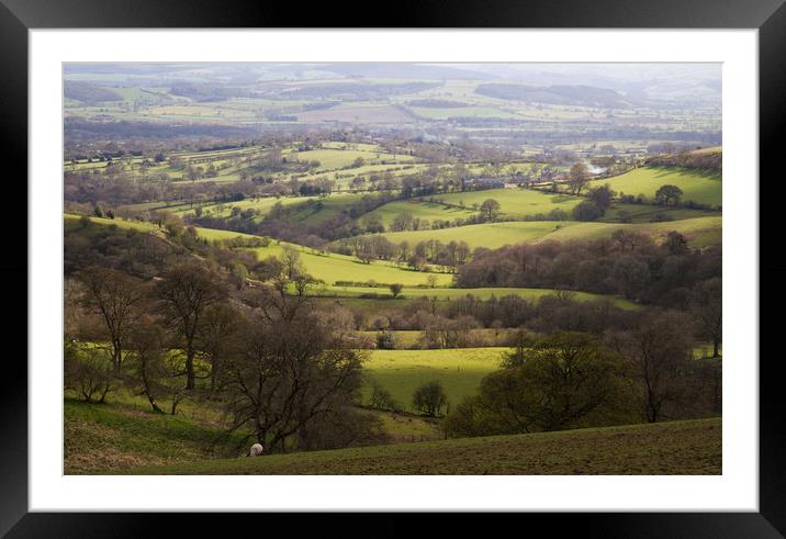 Shropshire Vale Framed Mounted Print by Colin Tracy