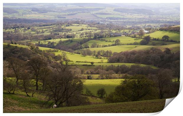 Shropshire Vale Print by Colin Tracy