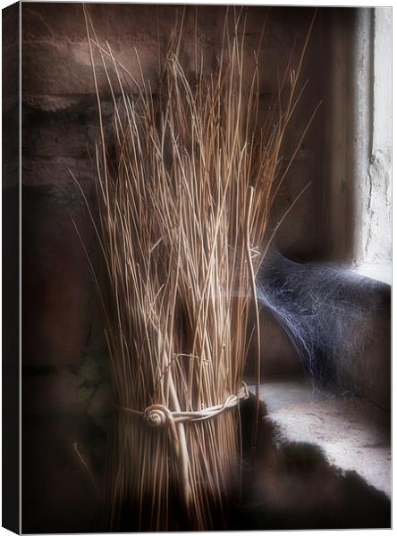 FORGOTTEN WILLOW Canvas Print by Anthony R Dudley (LRPS)