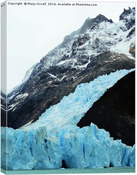 Glacier Spegazzini Canvas Print by Marja Ozwell