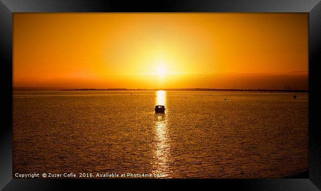 A Perfect Shot Framed Print by Zuzer Cofie