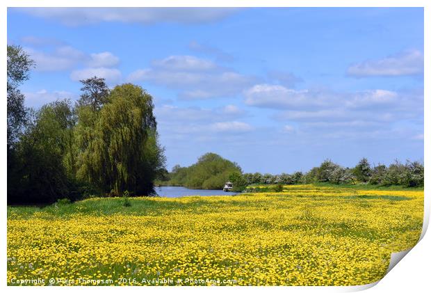 Buttercups by River Thames Print by Piers Thompson