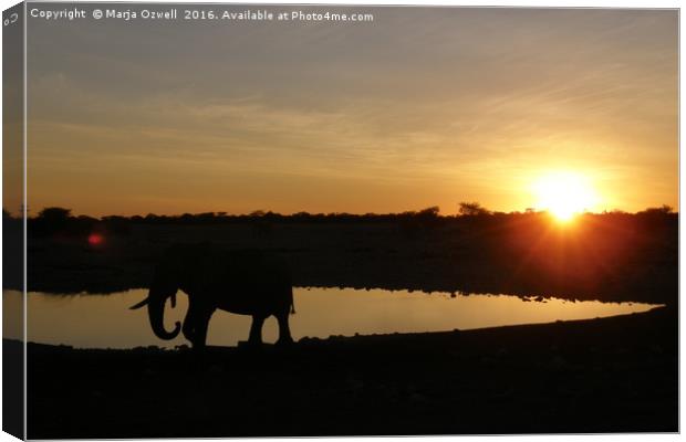 Sunset in Etosha Canvas Print by Marja Ozwell