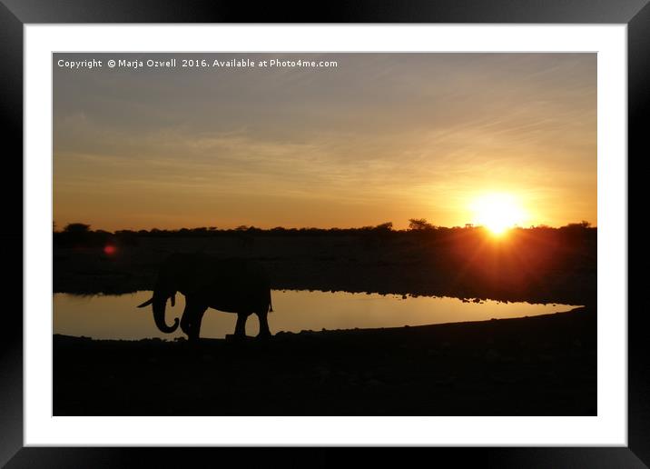 Sunset in Etosha Framed Mounted Print by Marja Ozwell