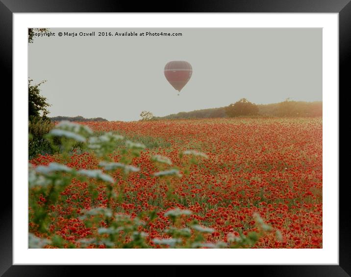 Poppies and balloons Framed Mounted Print by Marja Ozwell