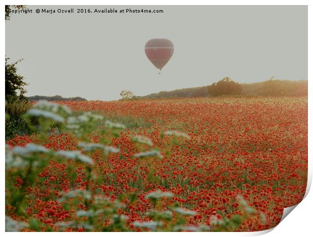 Poppies and balloons Print by Marja Ozwell