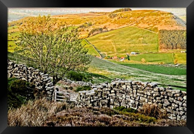 Danby Dale Landscape Framed Print by Martyn Arnold