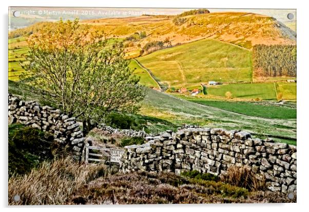 Danby Dale Landscape Acrylic by Martyn Arnold