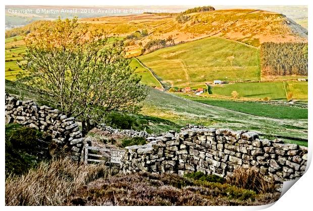 Danby Dale Landscape Print by Martyn Arnold
