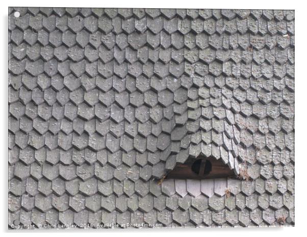 A Roof Eye in Romania Acrylic by Chris Langley